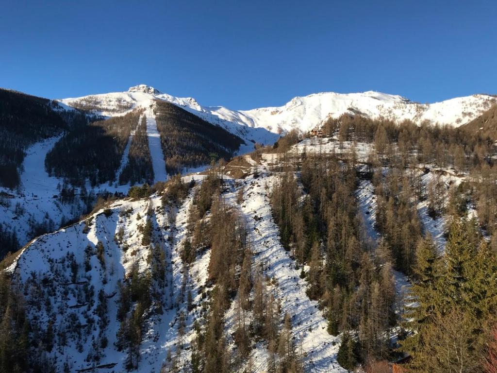 Magnifique 2 Pieces Proche Place D'Auron Ngoại thất bức ảnh